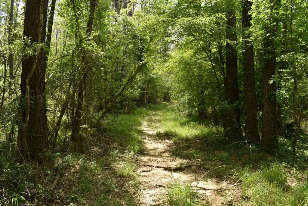 Picture 15