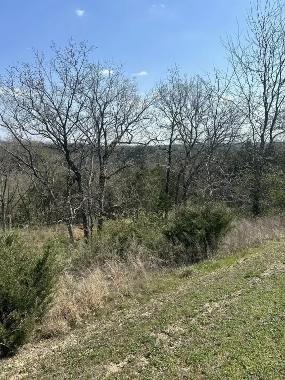 Picture 3