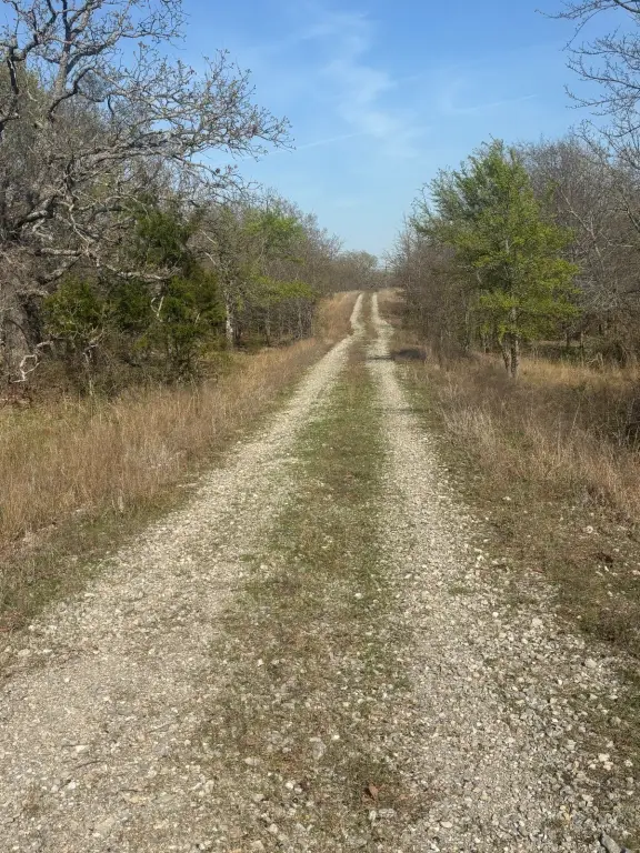 Picture 9