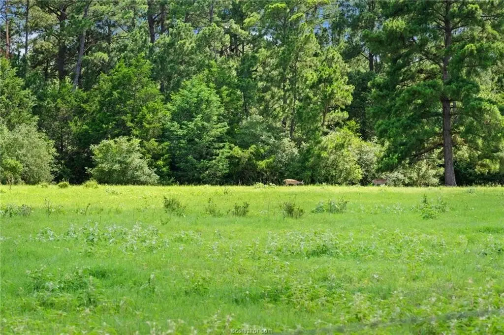 Picture 41