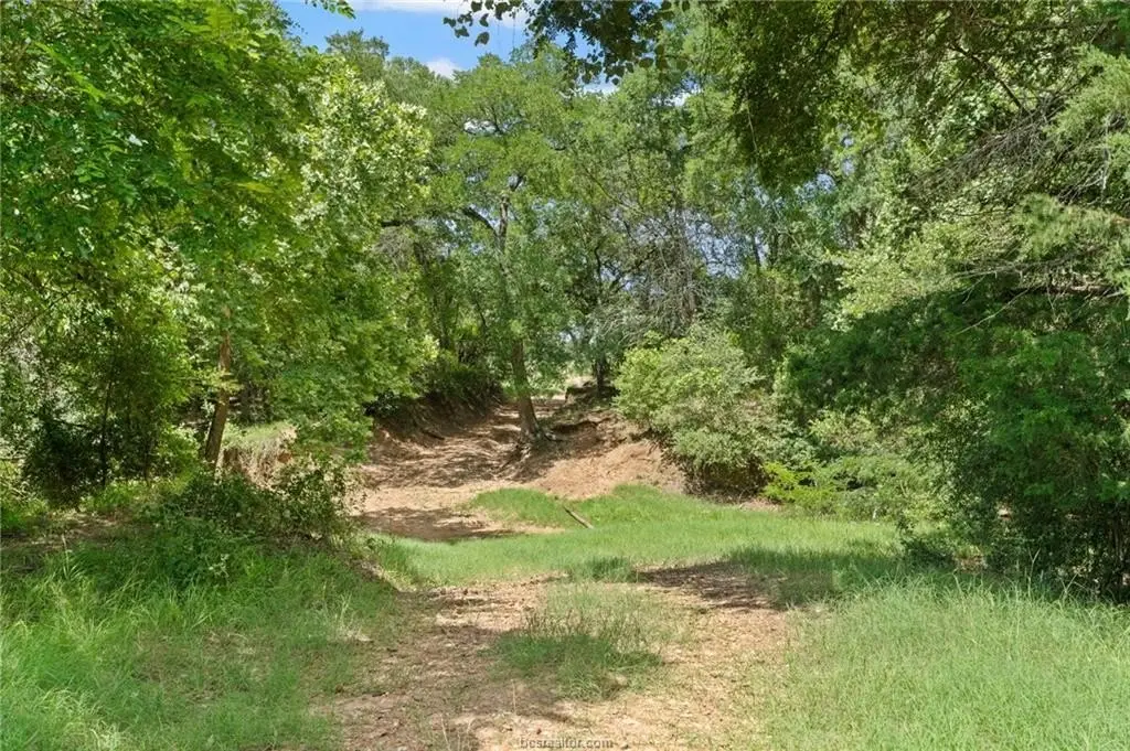 Picture 15