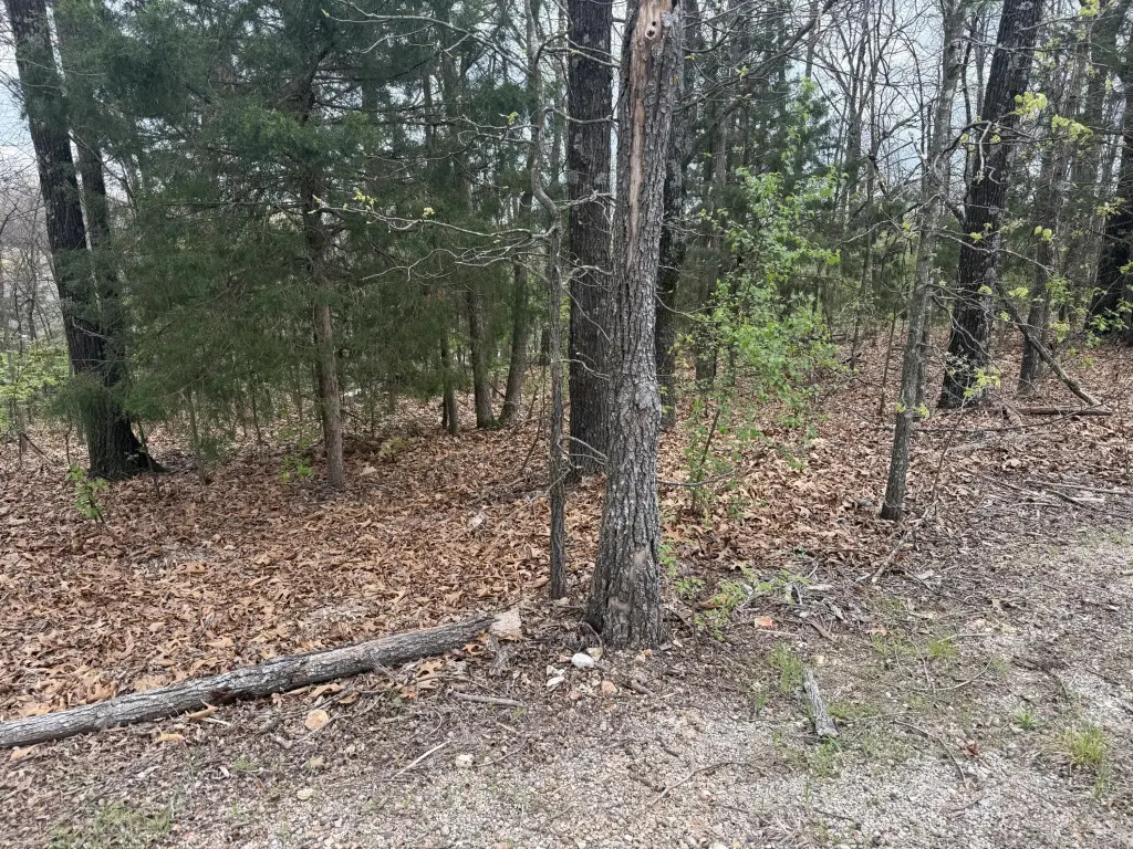 Picture 6