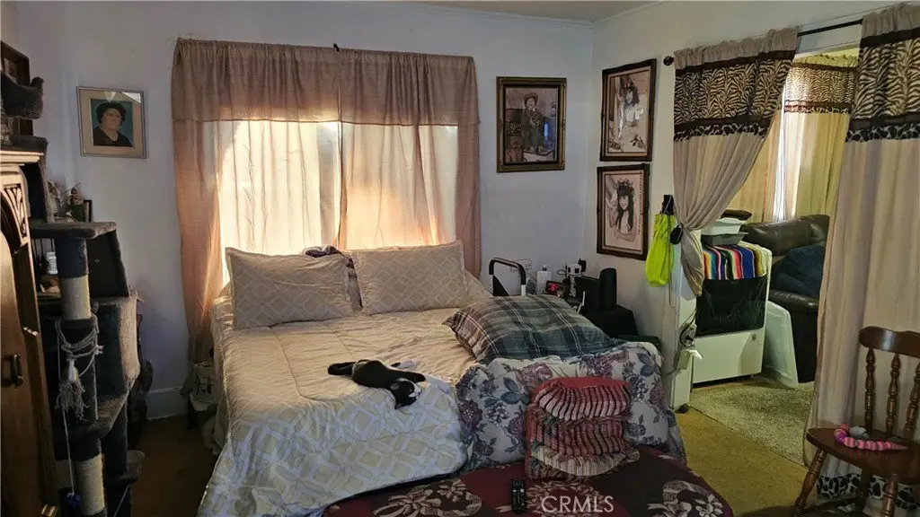 Picture 11