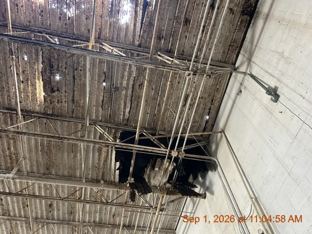 Picture 18