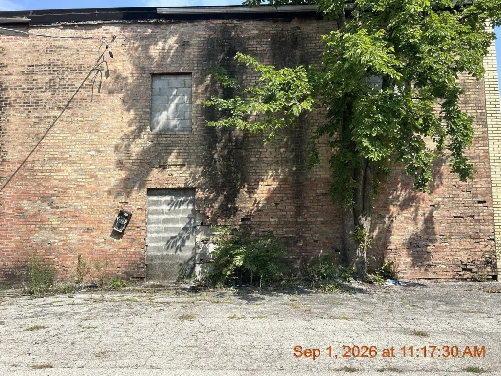Picture 31