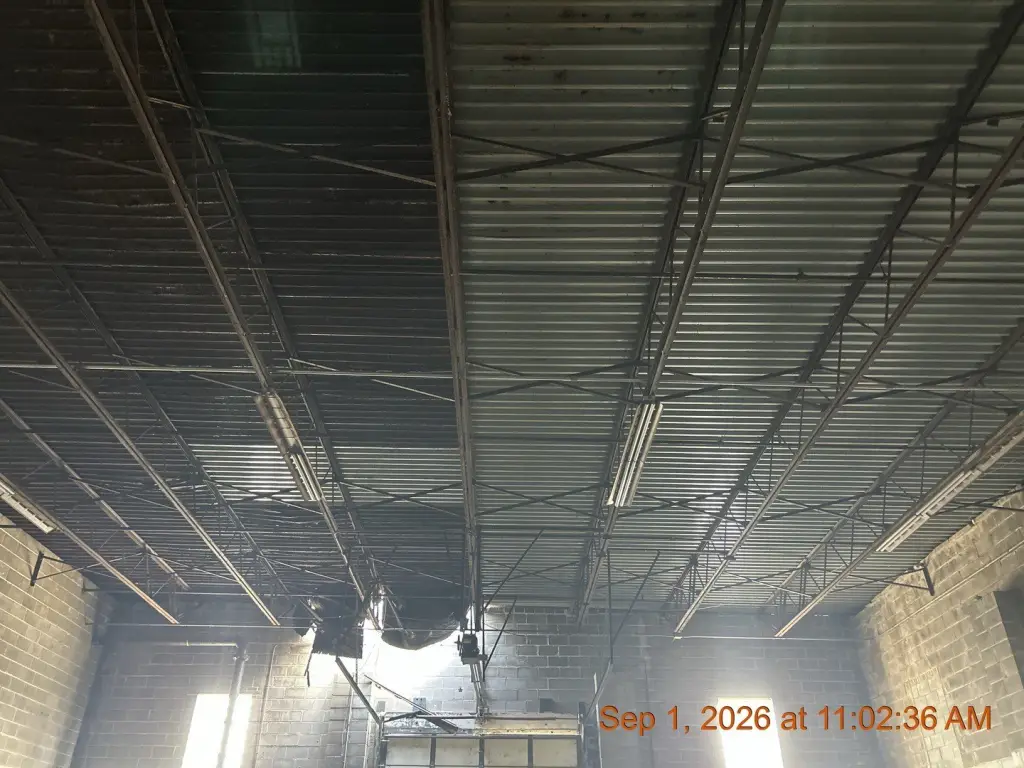Picture 9