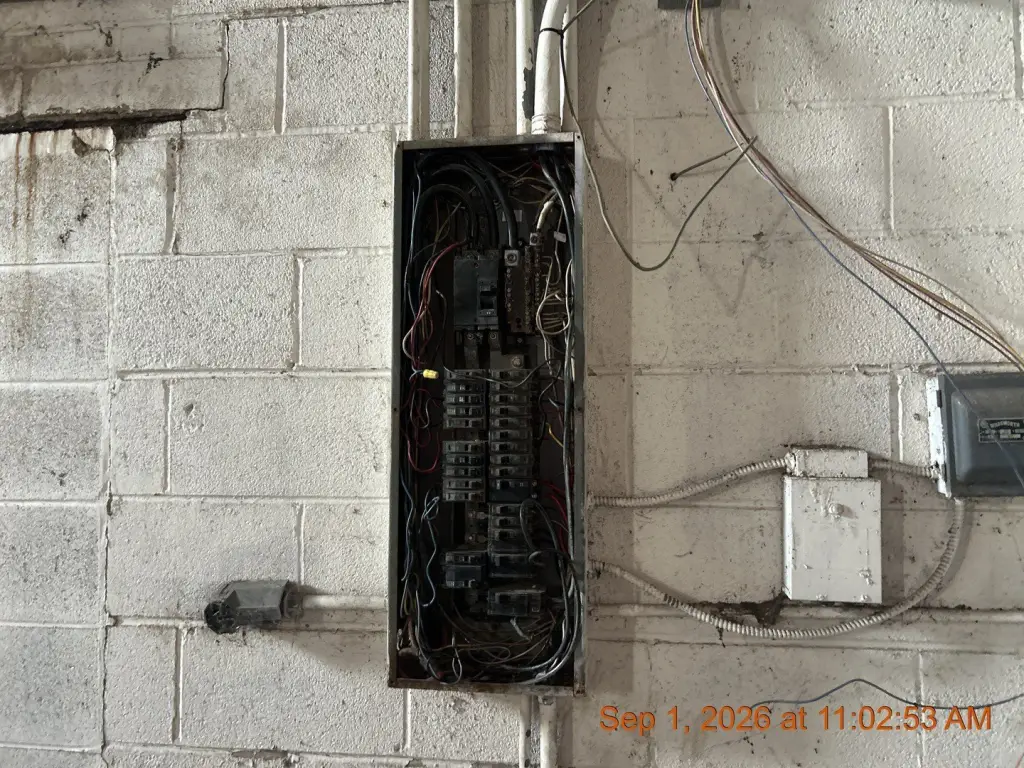 Picture 11