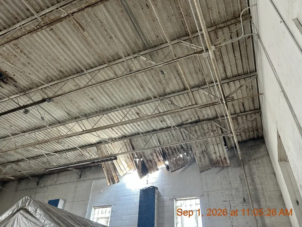 Picture 23