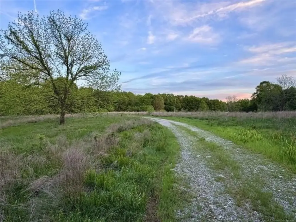 Picture 38