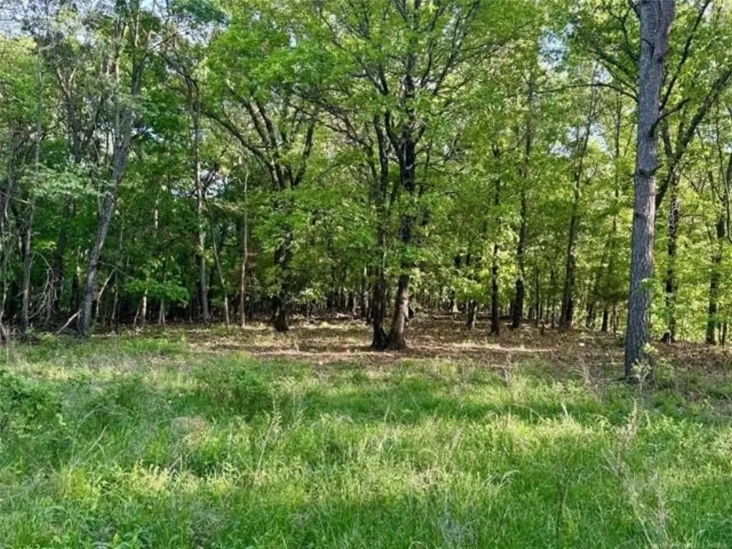 Picture 31