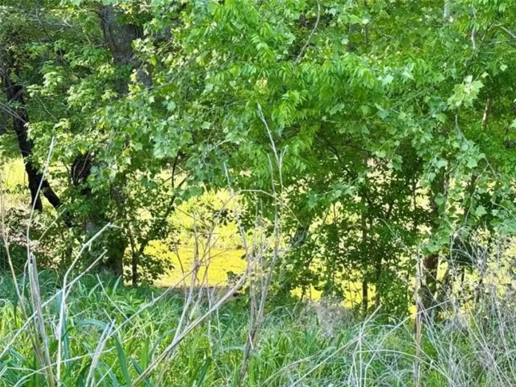 Picture 39