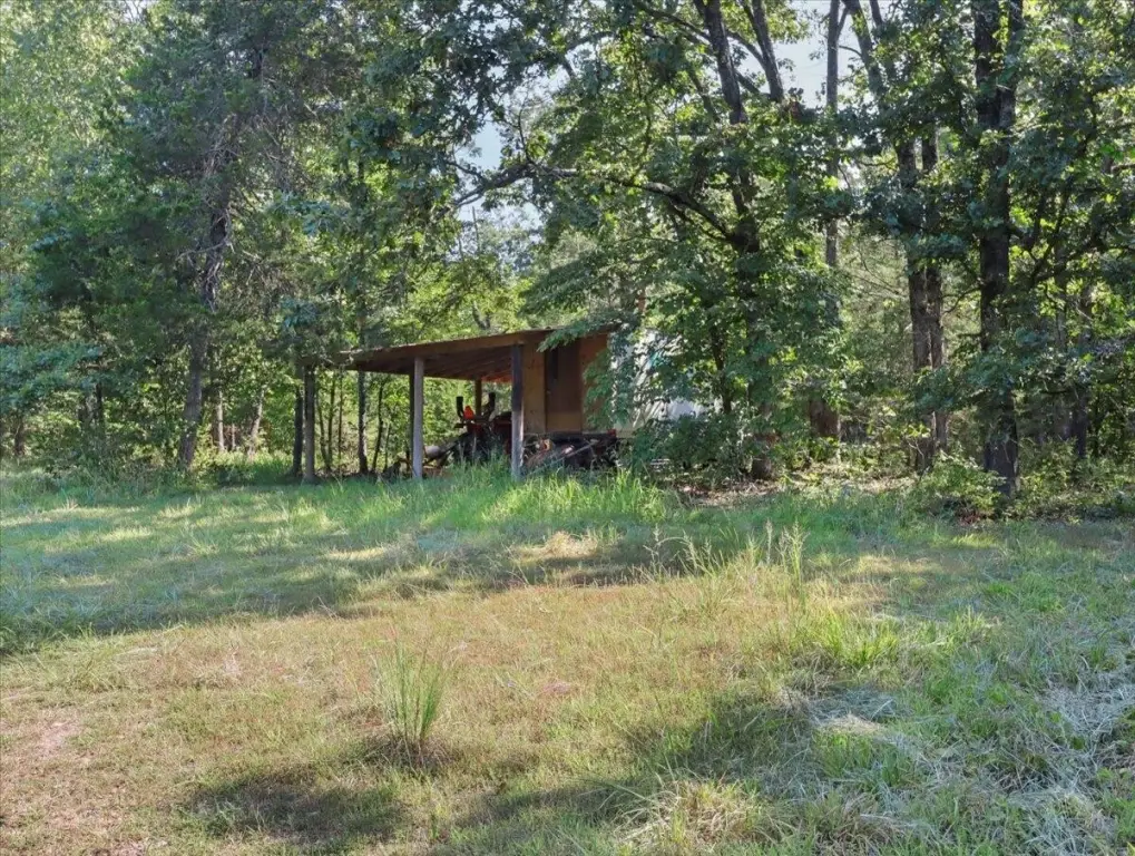 Picture 4
