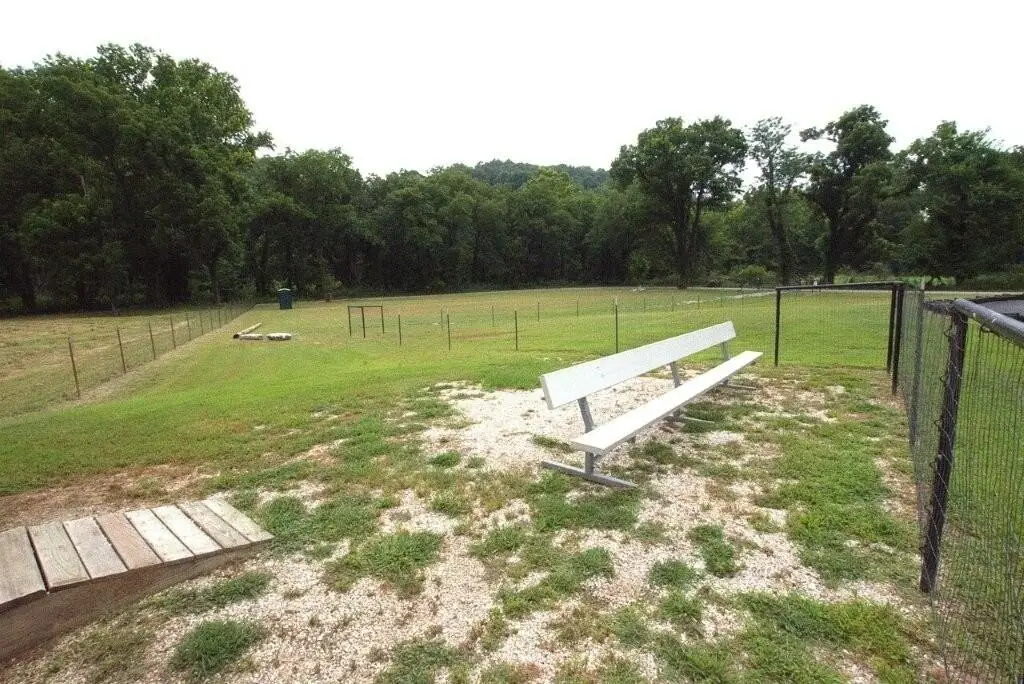 Picture 14