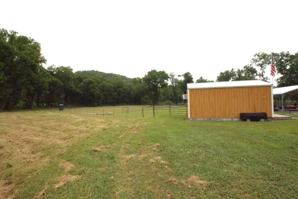 Picture 24