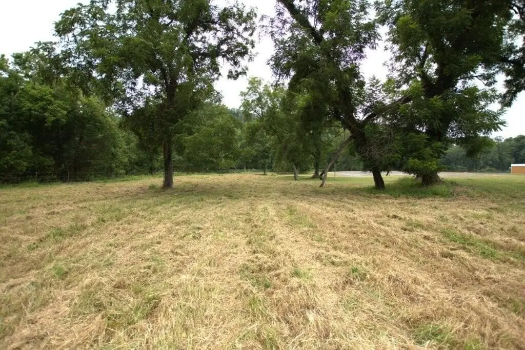Picture 31