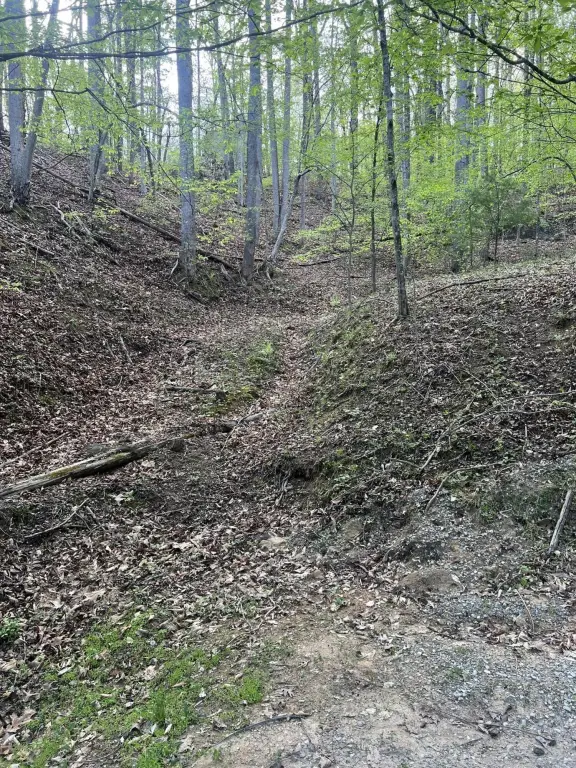 Picture 2