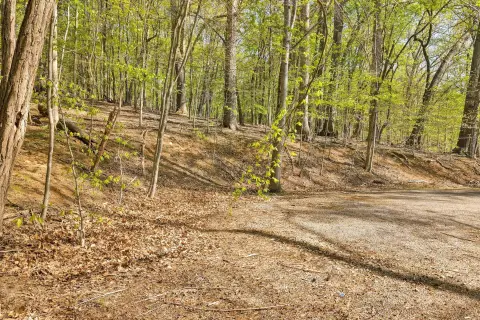 Moneta, VA Wooded Lot