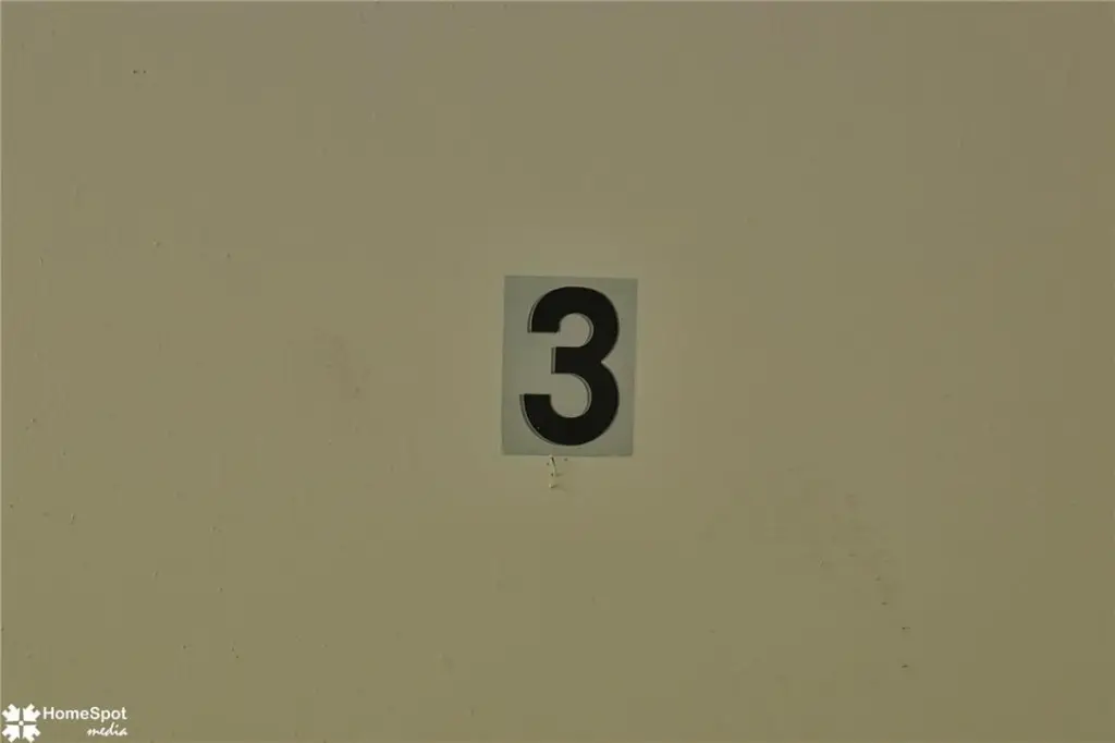 Picture 41
