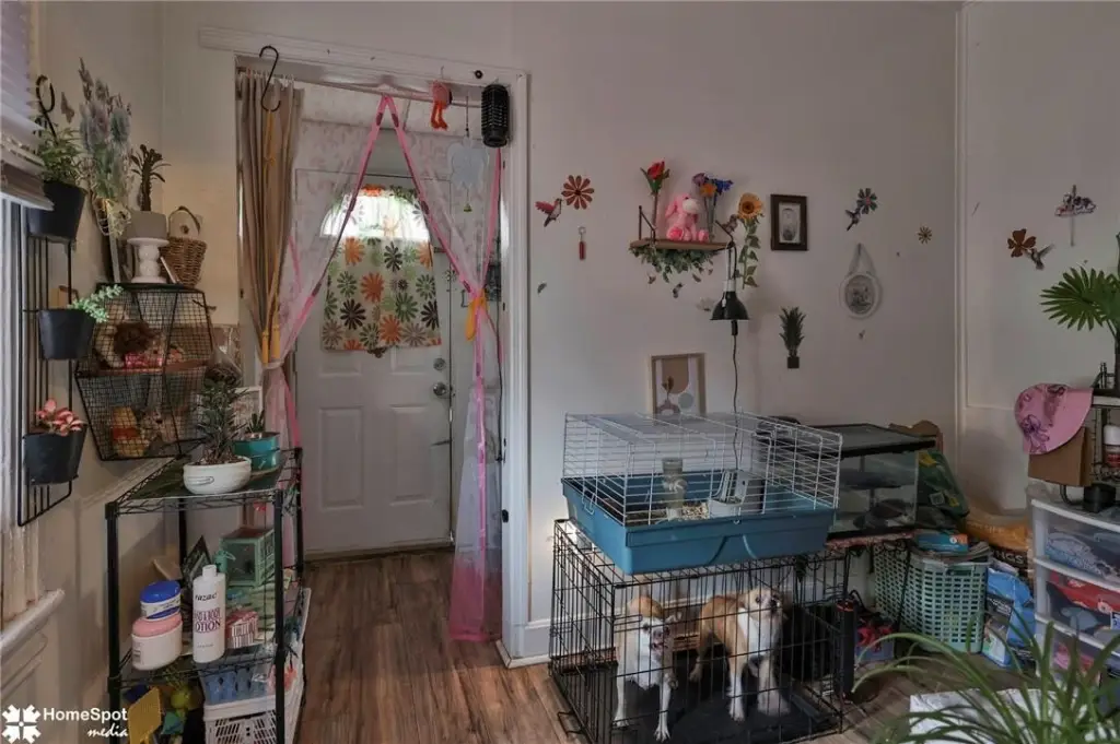 Picture 16