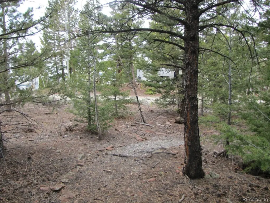 Picture 7