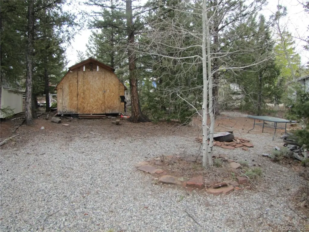 Picture 3