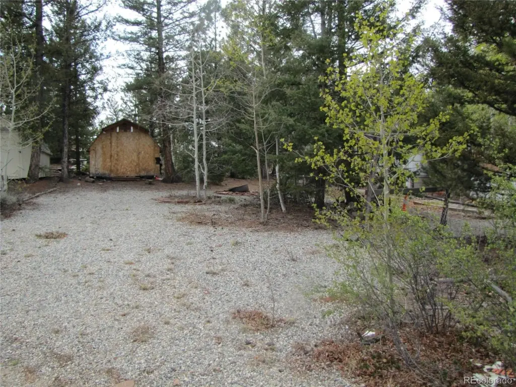 Picture 5