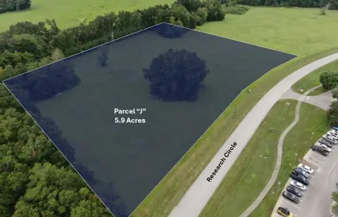 Commercial Land with US-441 Access