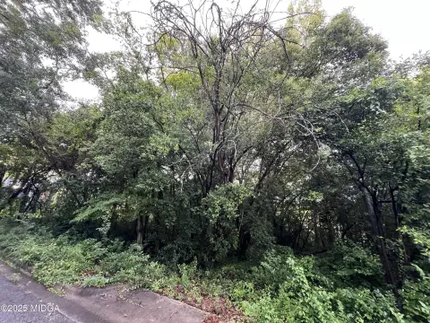 Vacant Lot Near Downtown Macon