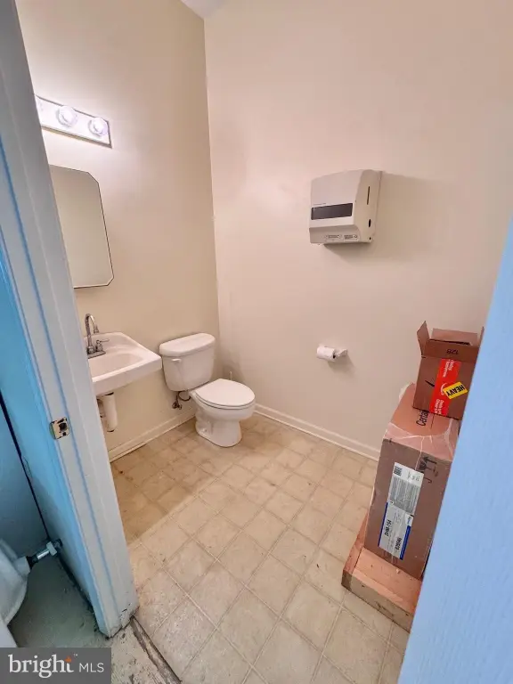 Picture 15