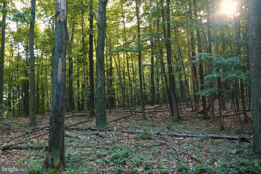 Picture 27