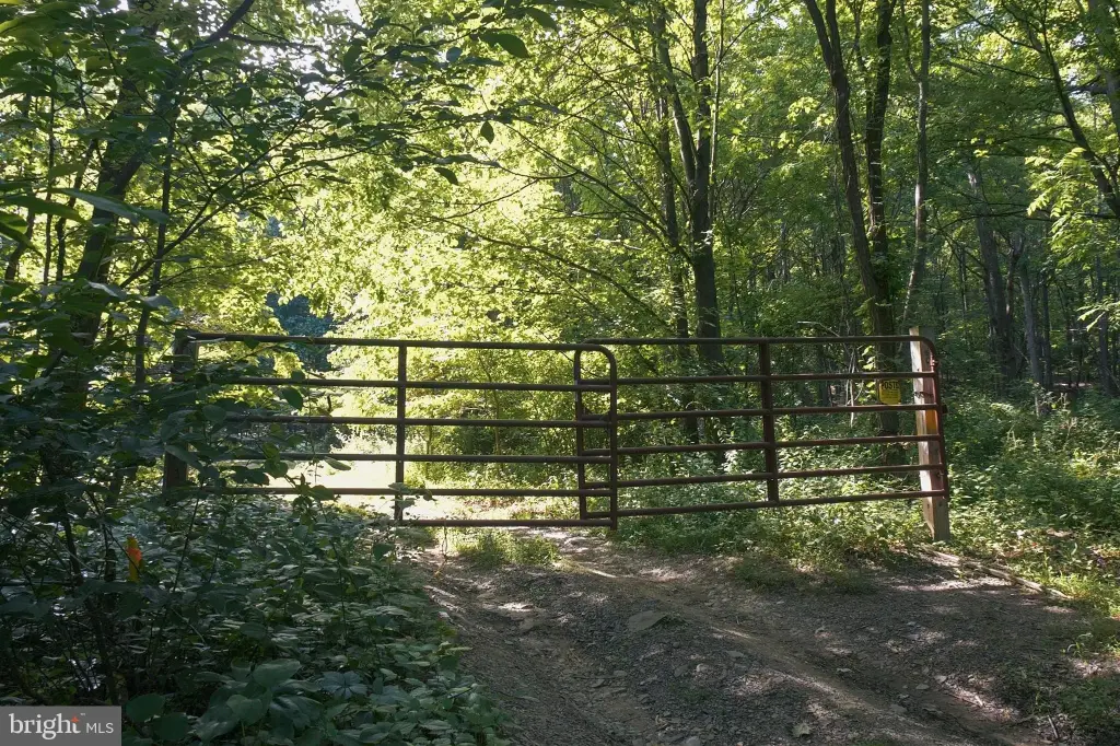 Picture 12