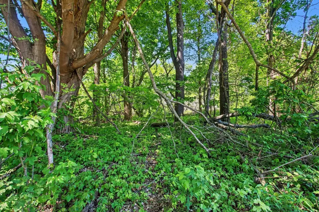 Picture 6