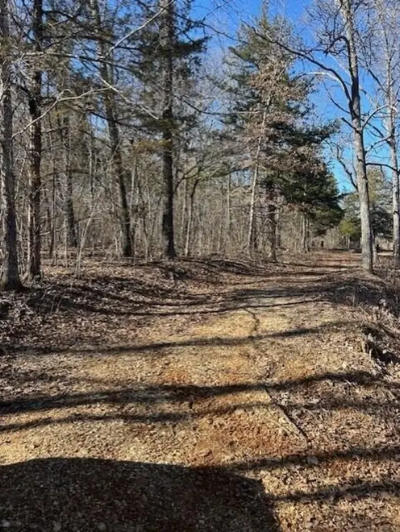 Picture 2
