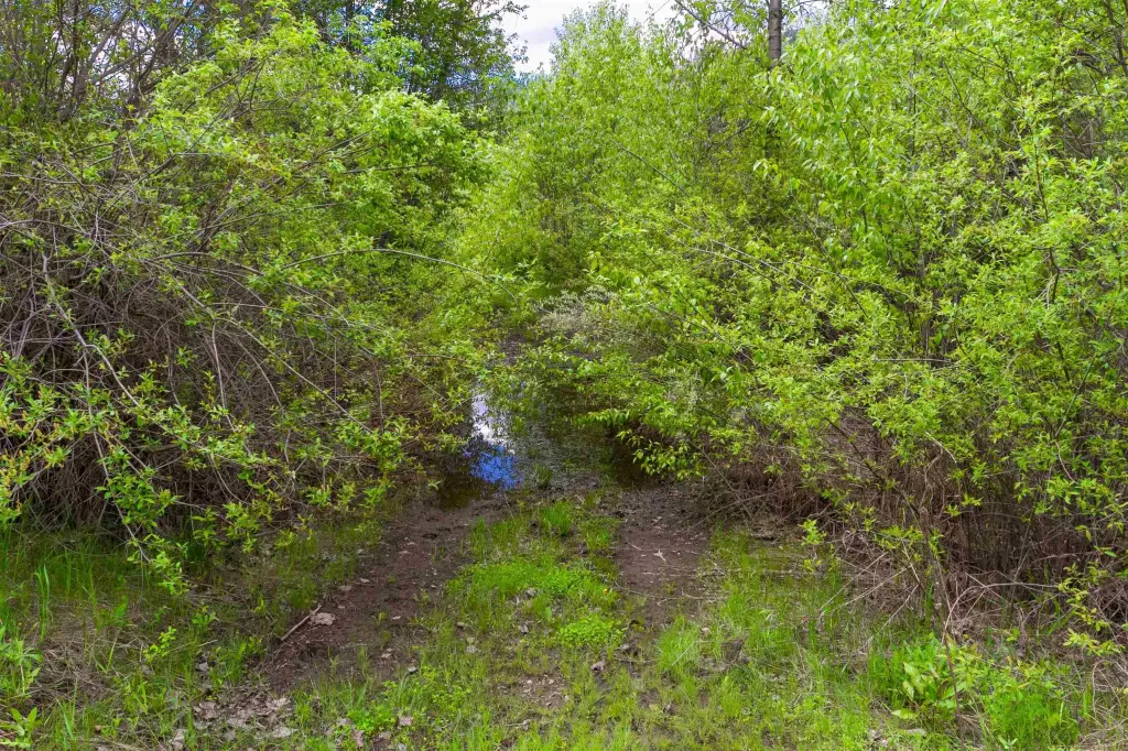 Picture 25