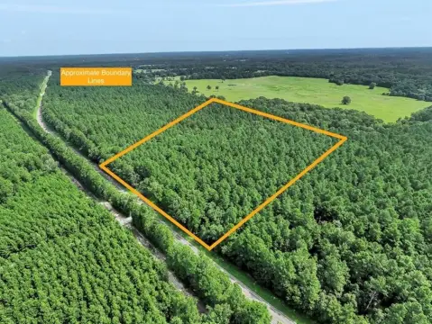22 Acres Wooded Land, Creeks