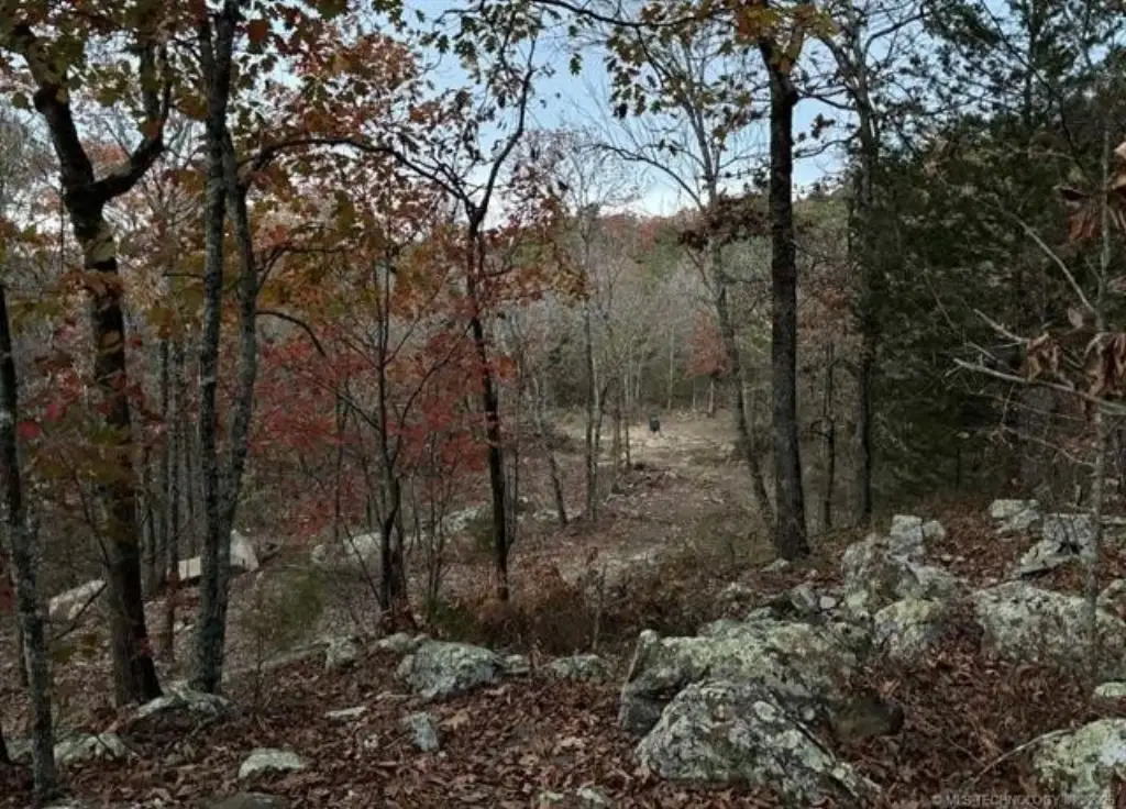Picture 23