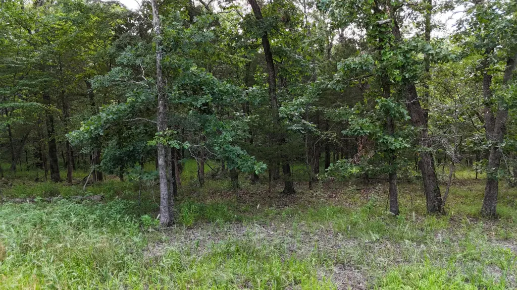Picture 2