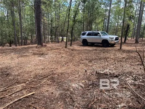 Estate Lots in Timber Ridge