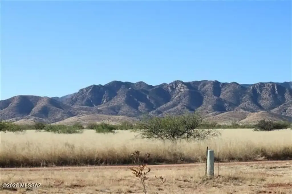 Picture 8