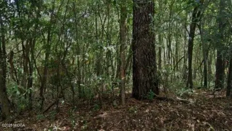 Wooded Land in Quiet Cul-de-Sac