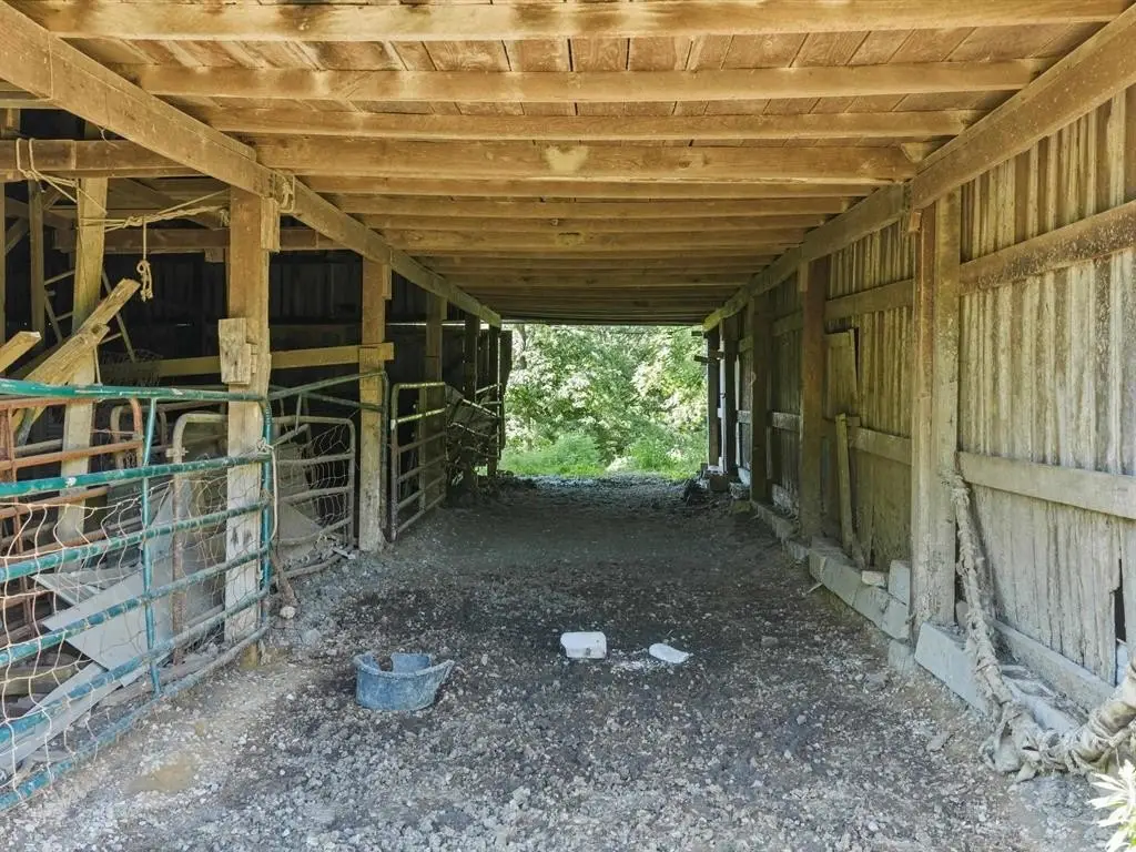 Picture 3