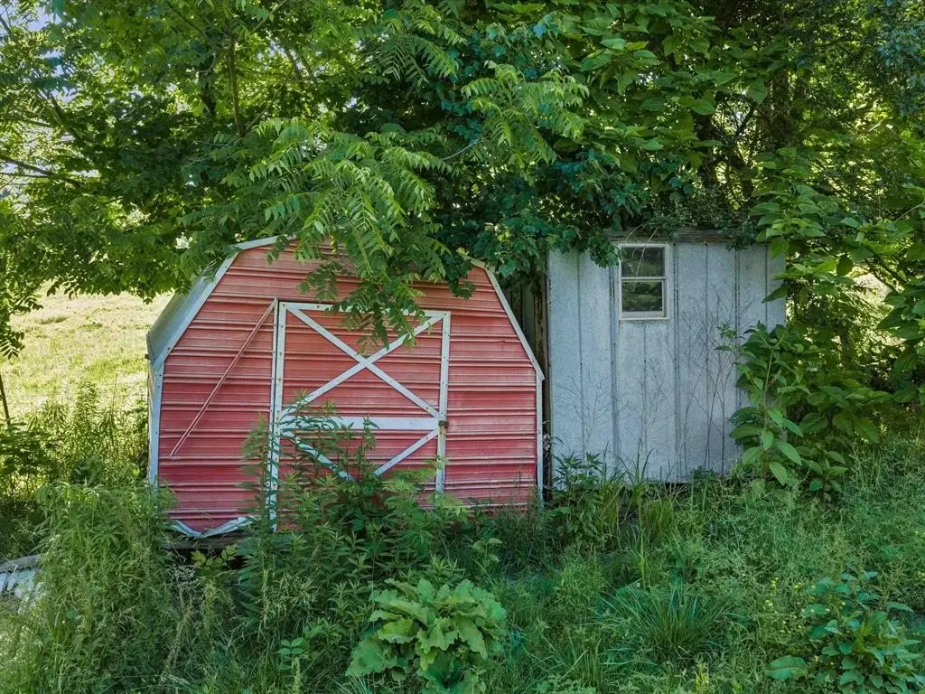 Picture 21