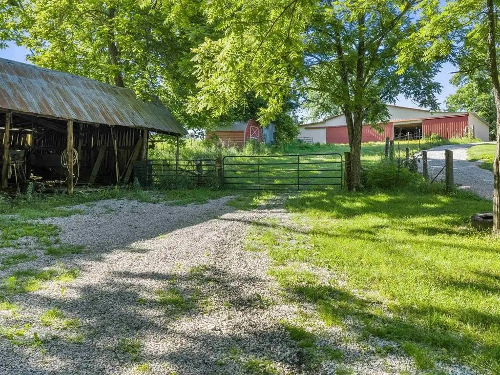 Picture 20