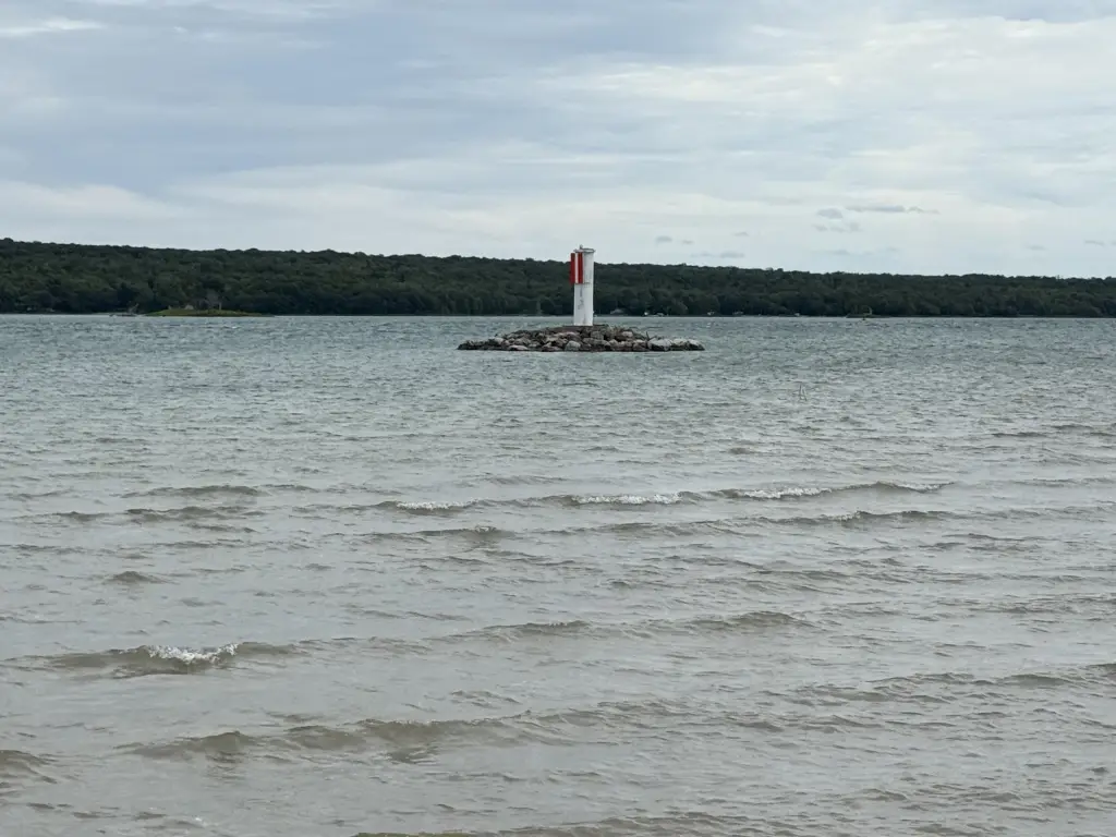 Picture 8