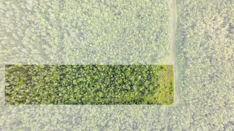 Agricultural Land in Hilo Countryside