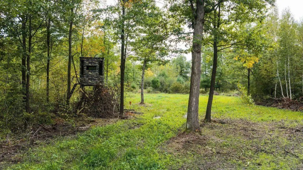 Picture 25