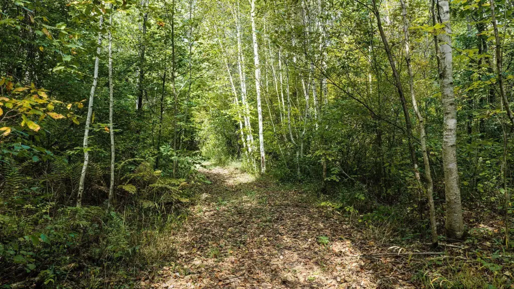 Picture 38