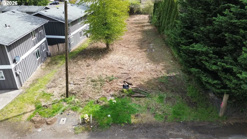 Picture 19
