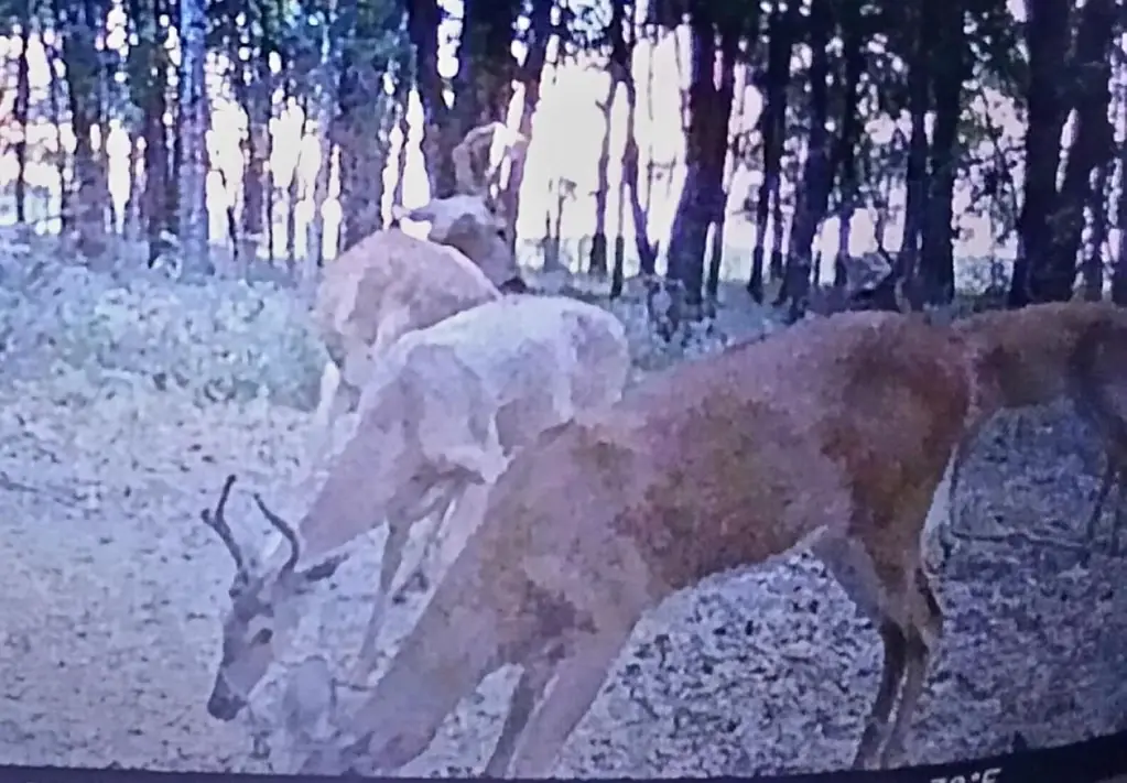 Picture 16