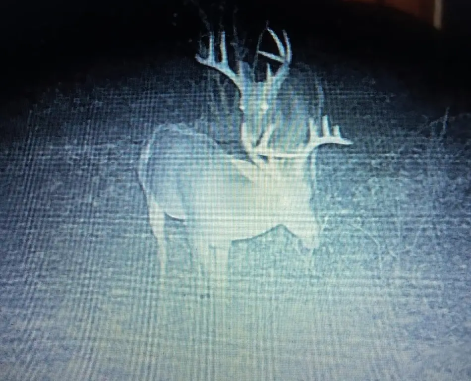 Picture 13